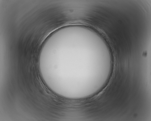 X0000116461457200912090916