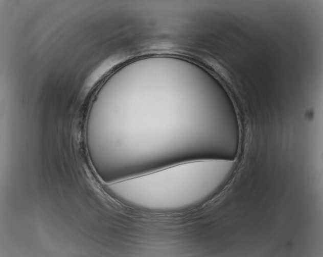 X0000116461458200912090916