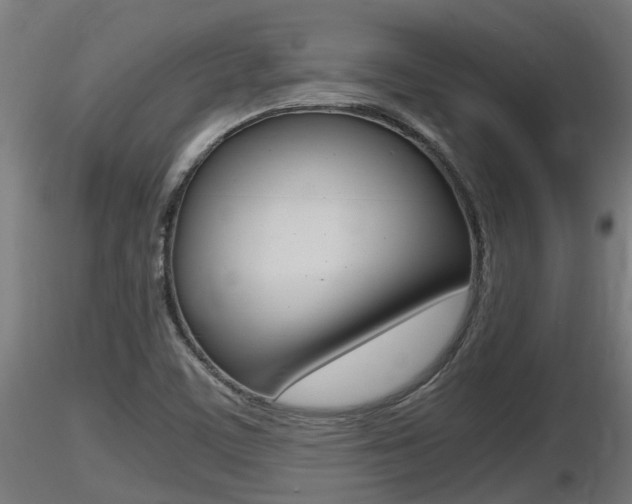 X0000116461459200912090916