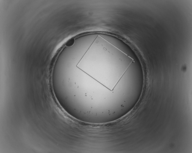 X0000116461460200912090916