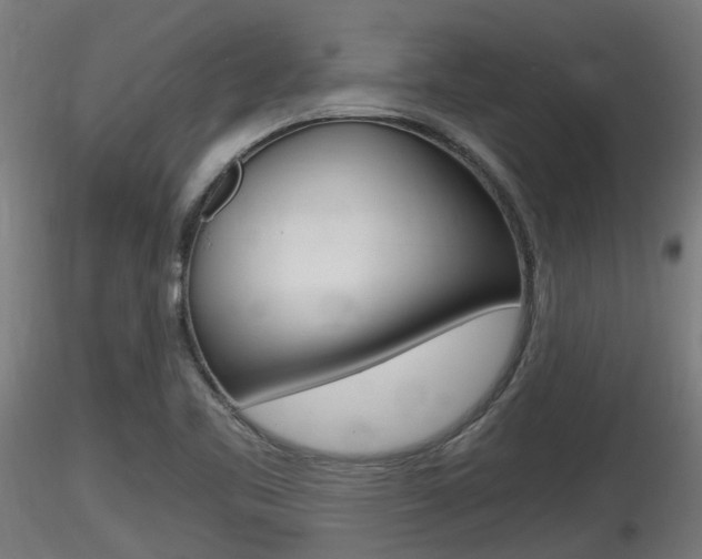 X0000116461461200912090916