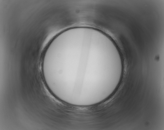 X0000116461462200912090916