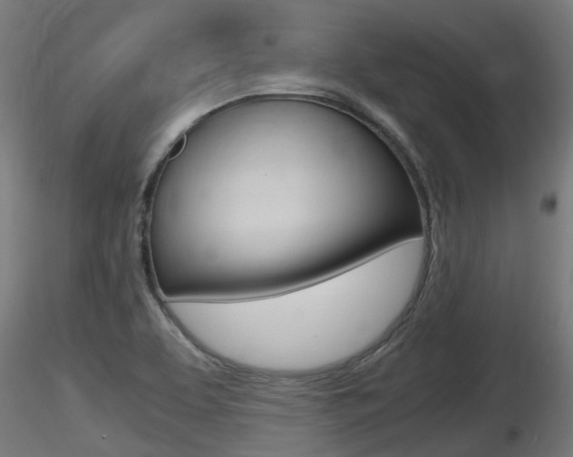 X0000116461463200912090916
