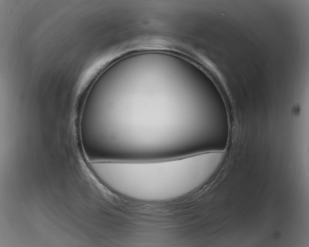 X0000116461464200912090916