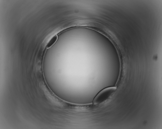 X0000116461465200912090916
