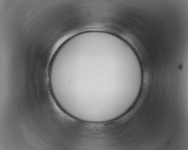 X0000116461466200912090916