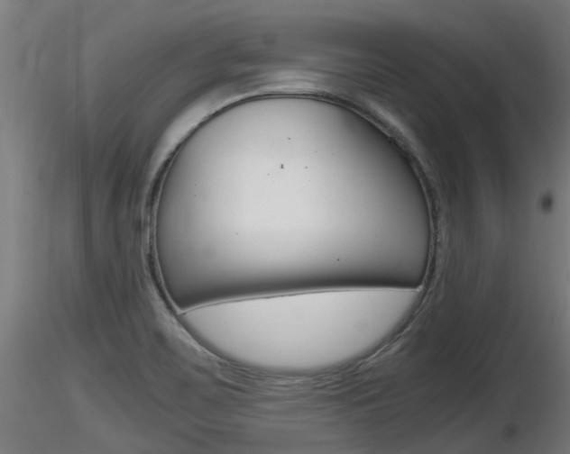 X0000116461467200912090916