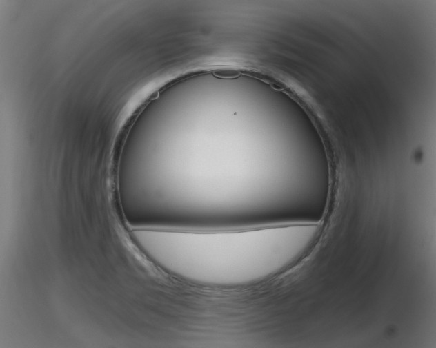 X0000116461469200912090916