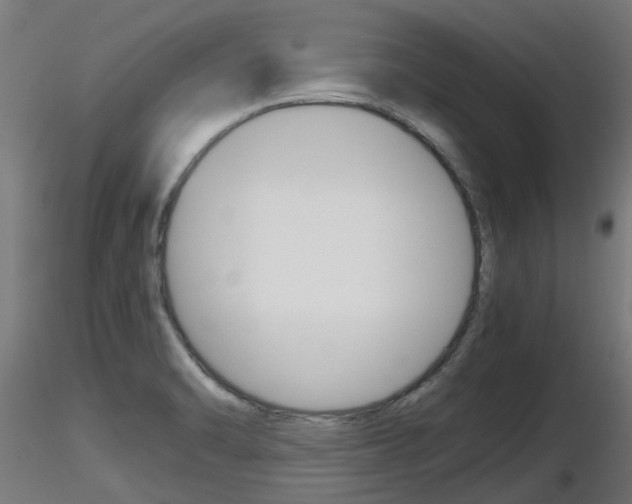 X0000116461470200912090916