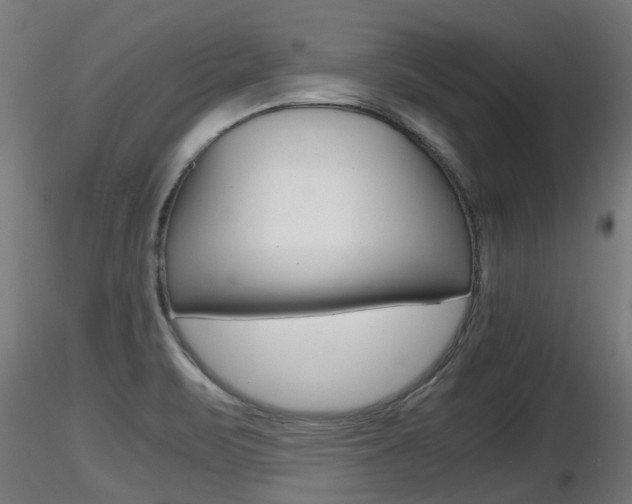 X0000116461471200912090915