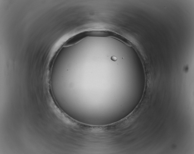 X0000116461472200912090915