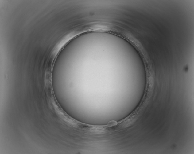 X0000116461473200912090915
