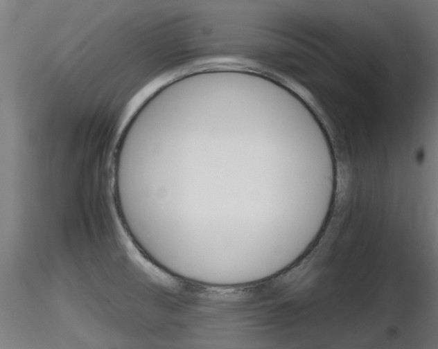 X0000116461474200912090915