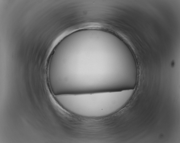 X0000116461475200912090915