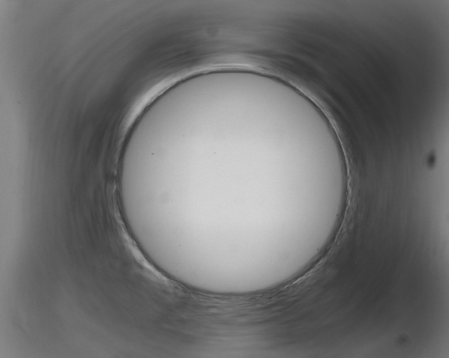 X0000116461477200912090915