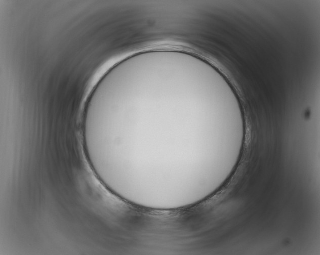 X0000116461478200912090915