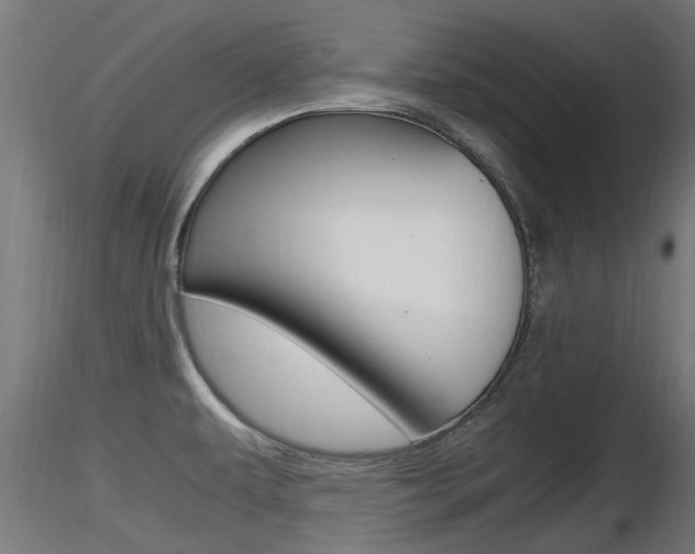 X0000116461479200912090915