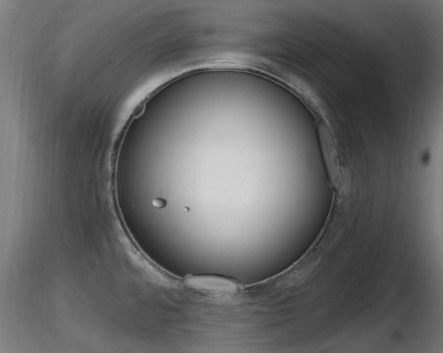 X0000116461480200912090915
