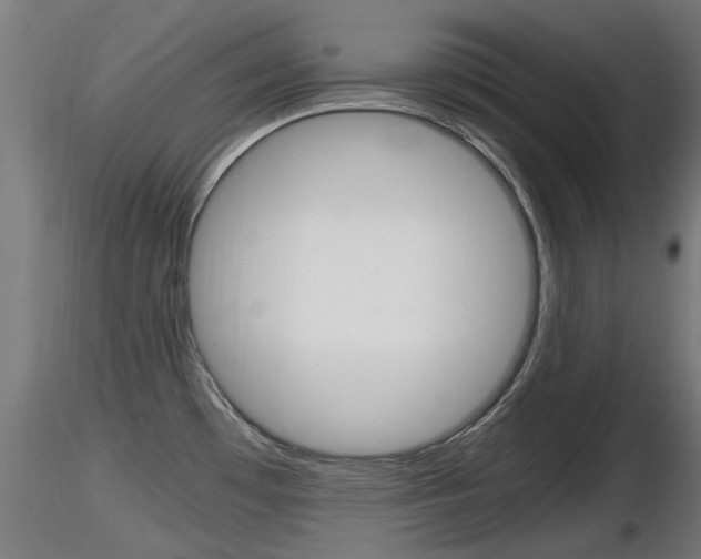 X0000116461481200912090915