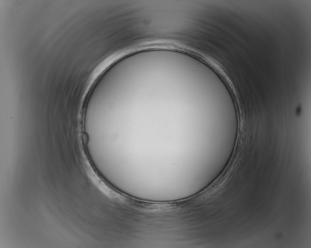 X0000116461482200912090915