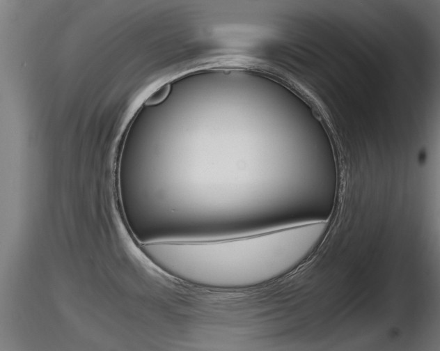 X0000116461483200912090915