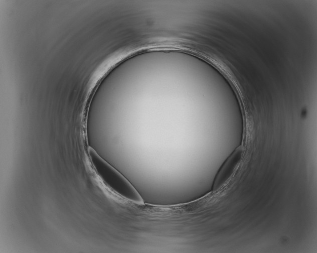 X0000116461485200912090915