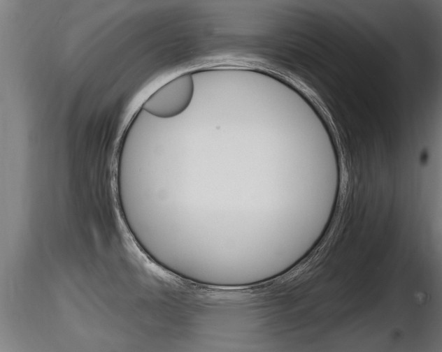 X0000116461486200912090915