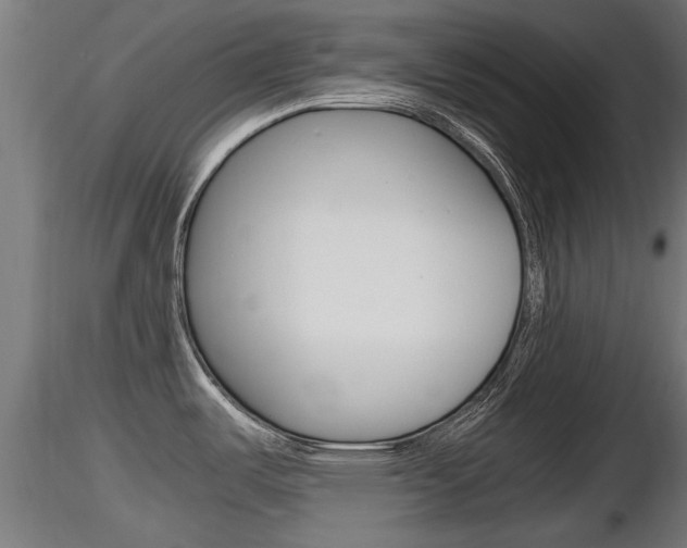 X0000116461487200912090915