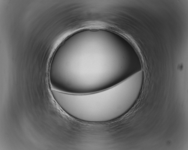 X0000116461488200912090915