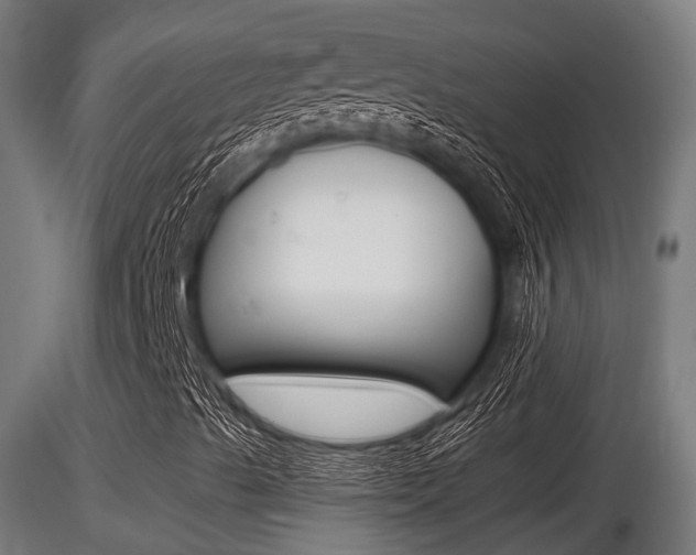 X0000116461489200912090915