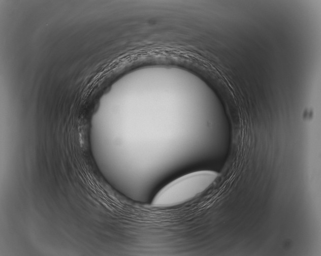 X0000116461490200912090915