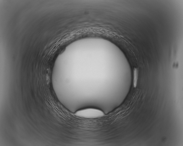 X0000116461491200912090915
