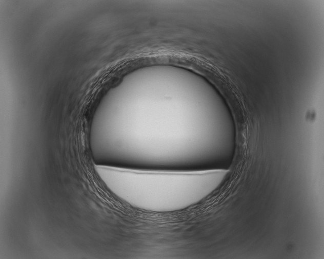 X0000116461493200912090915
