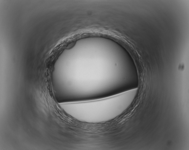 X0000116461494200912090915