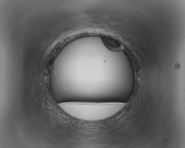 X0000116461495200912090915