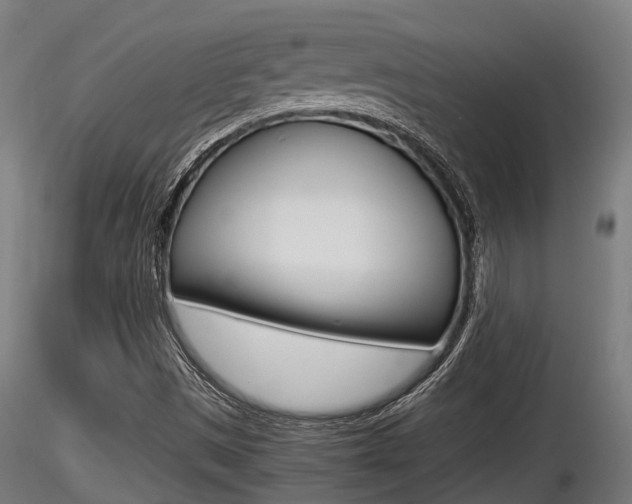 X0000116461497200912090915