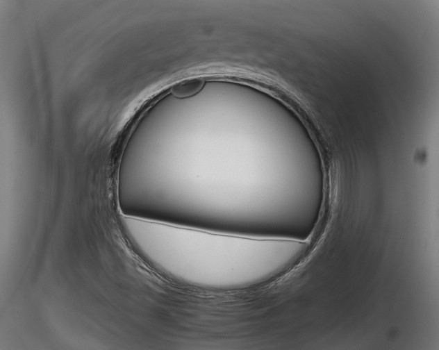 X0000116461501200912090915