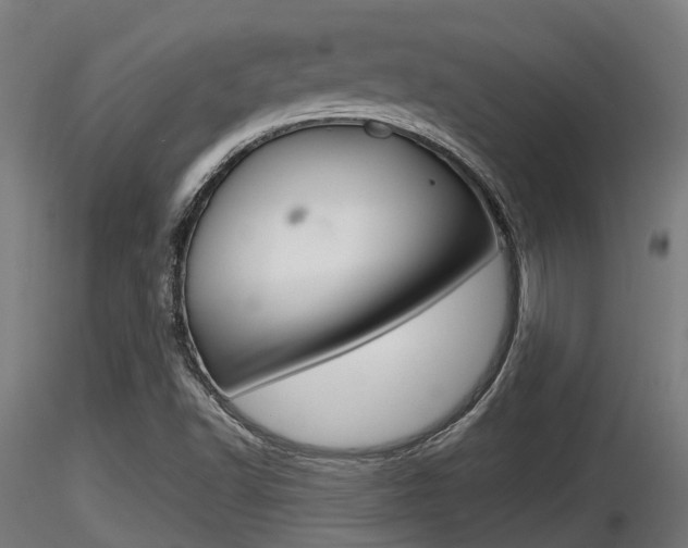 X0000116461502200912090915