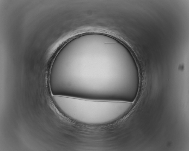 X0000116461503200912090915