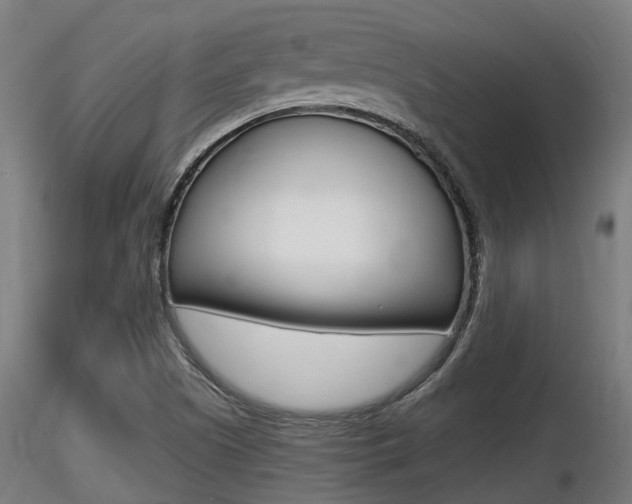 X0000116461505200912090915
