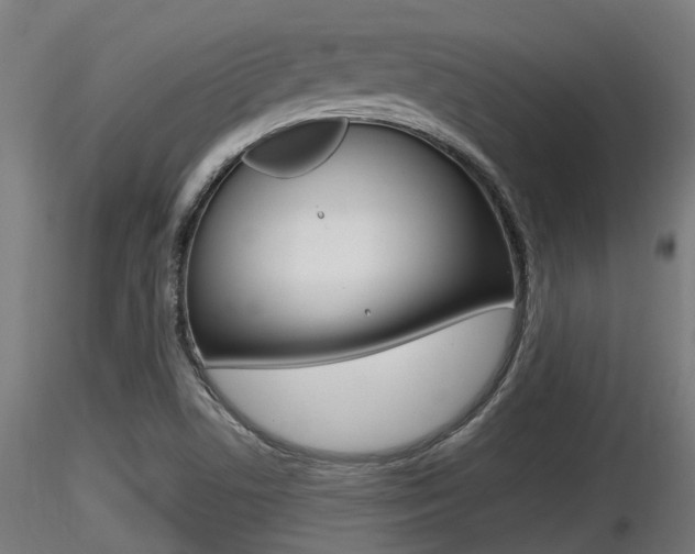 X0000116461506200912090915