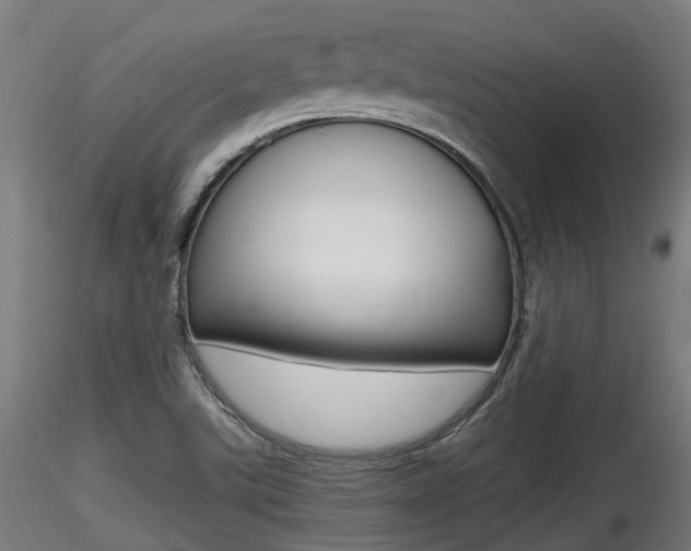 X0000116461507200912090915