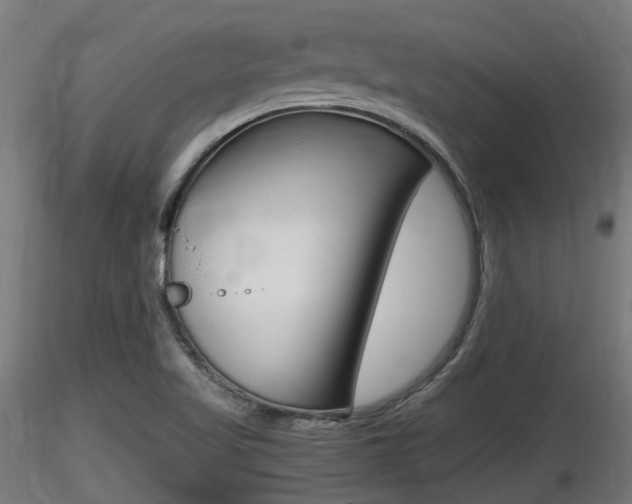 X0000116461509200912090915