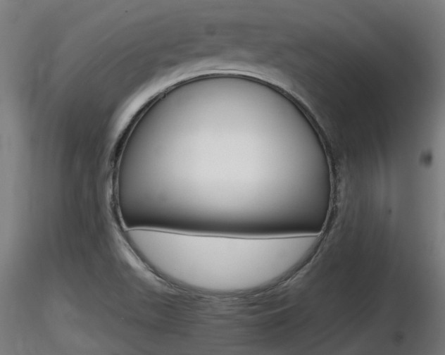 X0000116461511200912090915