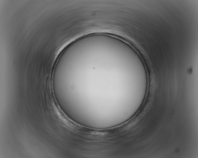 X0000116461513200912090915