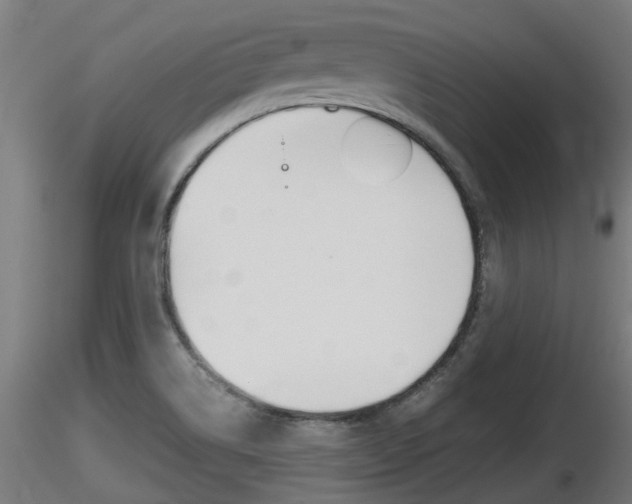 X0000116461514200912090915