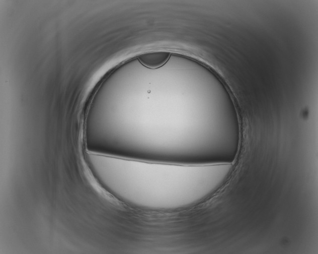 X0000116461515200912090915