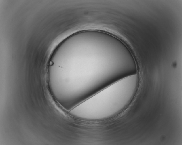 X0000116461517200912090915