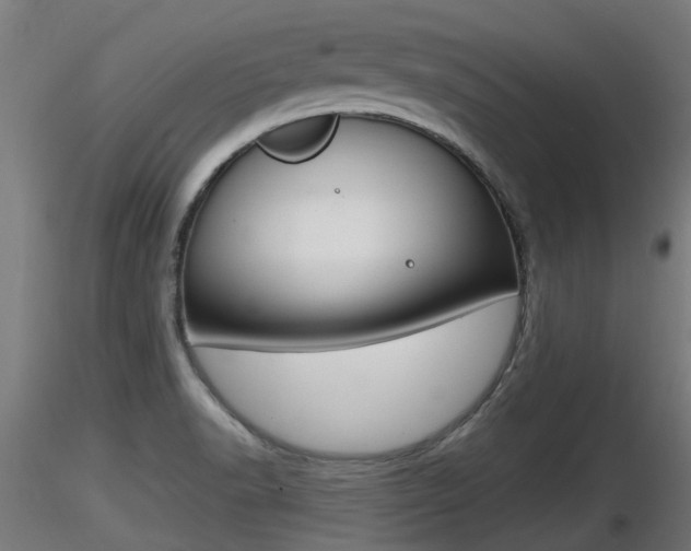 X0000116461518200912090915