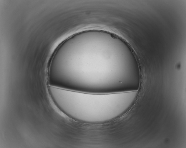 X0000116461519200912090915